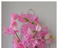 DIY Wall Vase