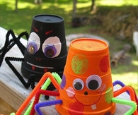 paper cup spiders