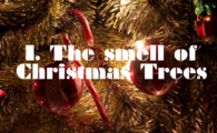 The Smell of Christmas Trees