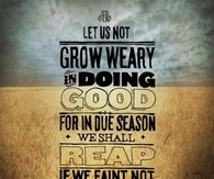 Let us not grow weary