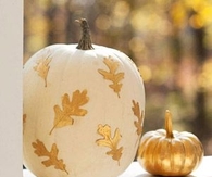 White and Gold Pumpkins