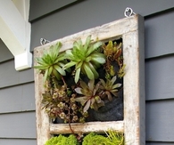 Old Window into Garden