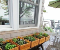 Wine Box Garden