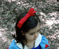 DIY Snow white costume