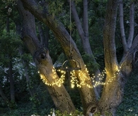 Dangling outdoors lights