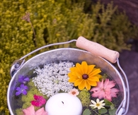 Garden party idea