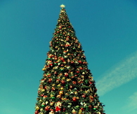 Big beautiful christmas tree on Main Street