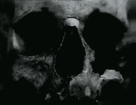 Creepy skull