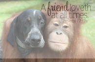 A friend loveth at all times
