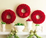Christmas Carnations