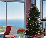 Living room with a view