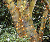 Lighting garden trees