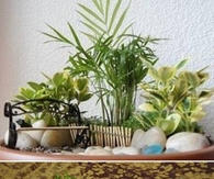 DIY Pot Mini Garden