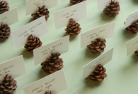 Pinecone card holders