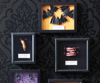 Creepy specimen boxes