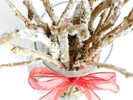 Frosted branches