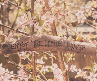 Enjoy the little things