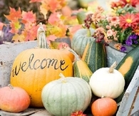 Autumn harvest