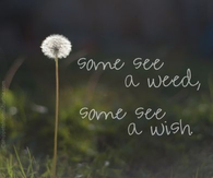 Some see a weed, some see a wish