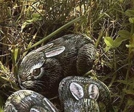 Rabbit Stone Art