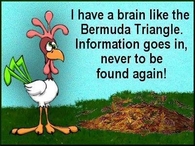 a brain like the bermuda triangle
