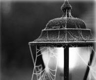 Street Light Cobwebs