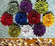 Craft Pistachio Flowers