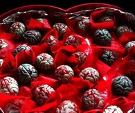 Brain Chocolates