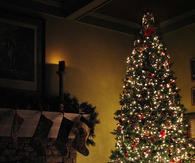 Christmas Tree Decoration