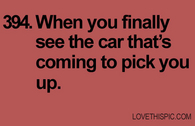 394-car