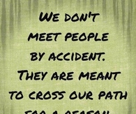 For a Reason 