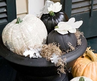 Book page pumpkins