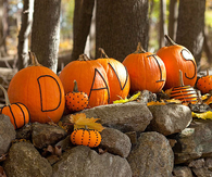 Family name pumpkins