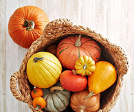 Harvest Pumpkin Basket