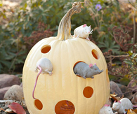 Pumpkin Mouse House