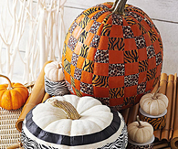 Animal print pumpkins