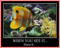 share