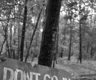 Dont go in the woods