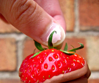 Chocolate covered strawberry