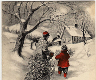 Bringing home the tree