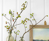 Crabapple arrangement