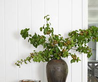 Asian pear arrangement