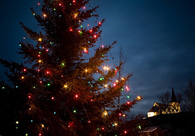 Colorful christmas tree