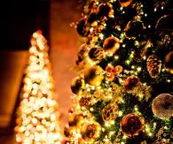 Beautiful glowing christmas tree