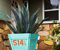 Transformed nursery box