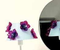 DIY  Flowers of Plastic Bottles
