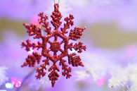 Red Glittery Snowflake