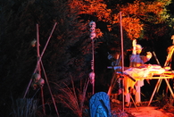 Voodoo Ceremony