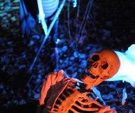 Skeleton coming out the coffin