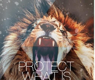 Protect what is yours